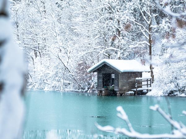 Klammsee Schneefall - Klammsee snowfall (c) JohannesRadlwimmer.24b97b50_original Klammsee Schneefall - Klammsee snowfall (c) JohannesRadlwimmer.24b97b50_original
