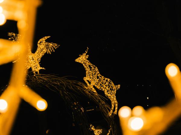 20241207_Lumagica_LC_13_(C)_Zell_am_See-Kaprun.7fc92aec_original 20241207_Lumagica_LC_13_(C)_Zell_am_See-Kaprun.7fc92aec_original